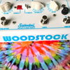 Sabbadius Woodstock Funky Vibe Pedal Closeup